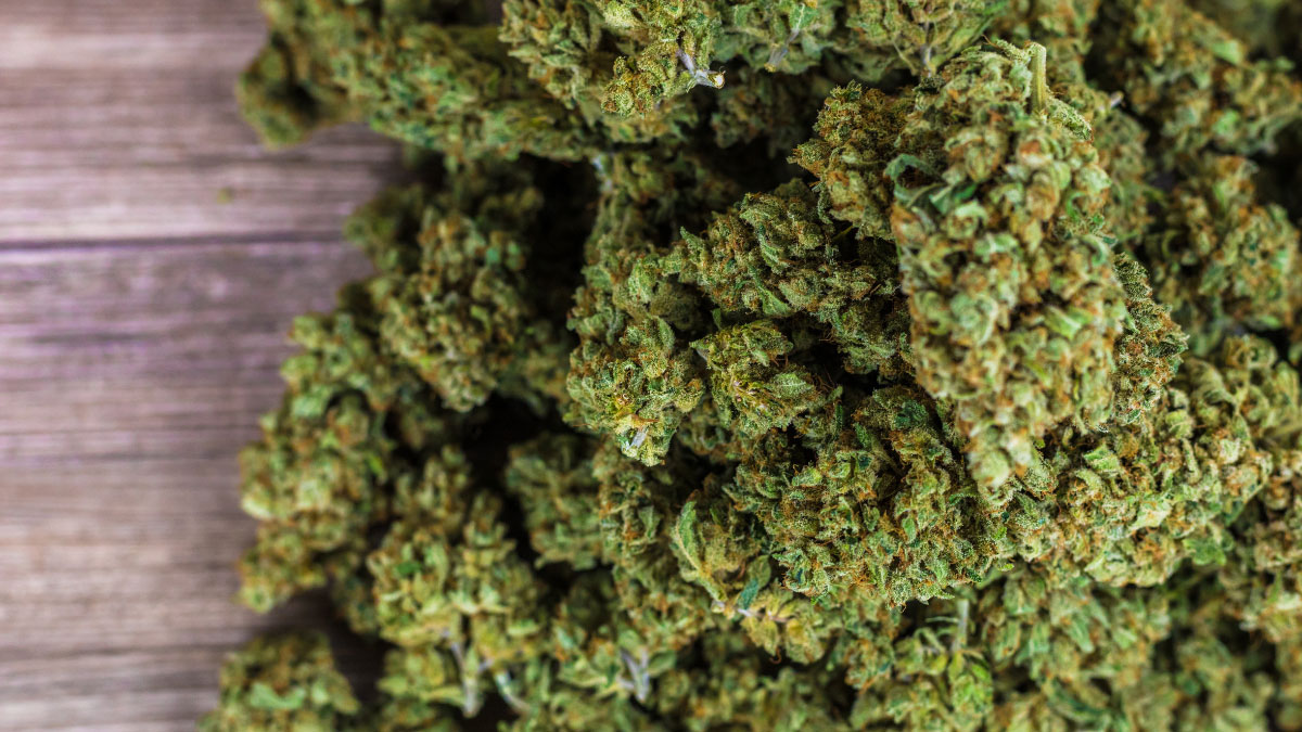 A close up view of Richmond THCa Flower on a table.