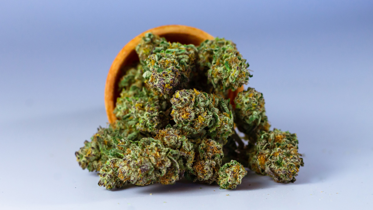 A close up view of an order of THCa flower near San Antonio, Texas.