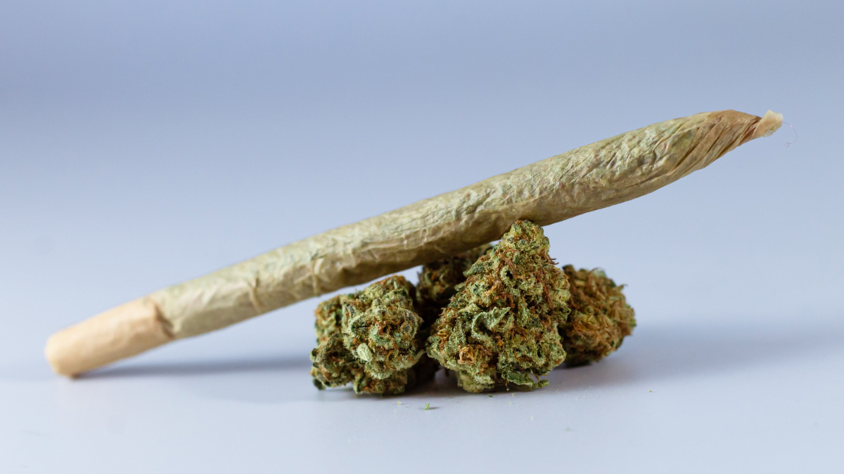 San Antonio THCa buds with a rolled joint on top.