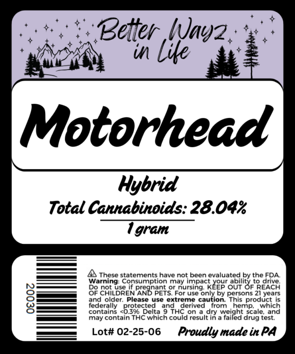 Motorhead - Image 2