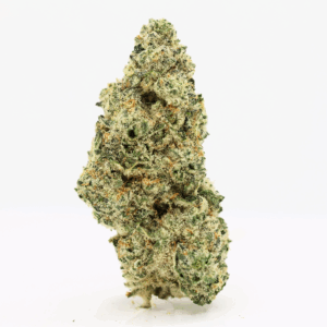 Cafe Racer (Sativa-Hybrid) THCa Flower - 3.5g