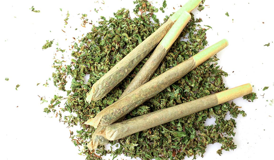 Customers order Augusta THCa preroll products from Future Elevation.