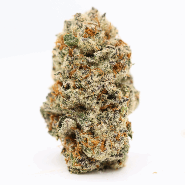 White Zerbert (Hybrid) THCa Flower – 3.5g