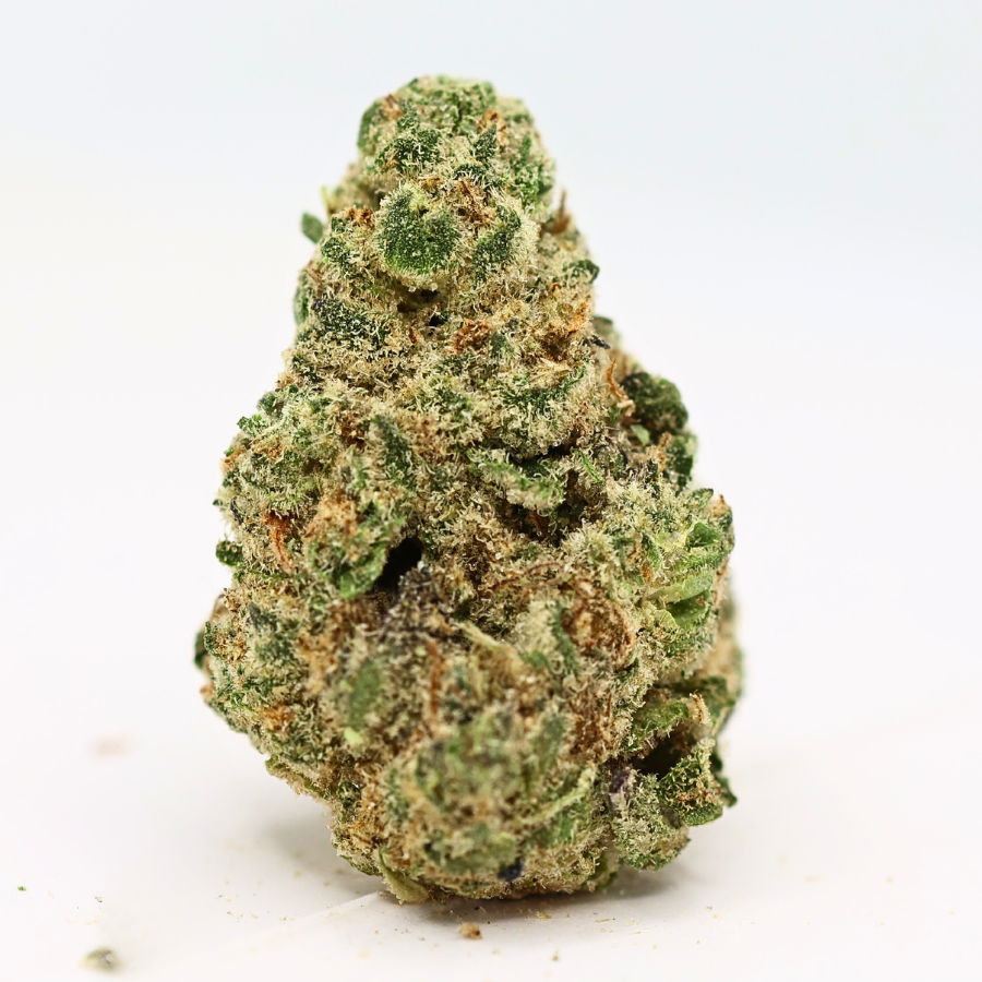 Gush Mintz - Future Elevation